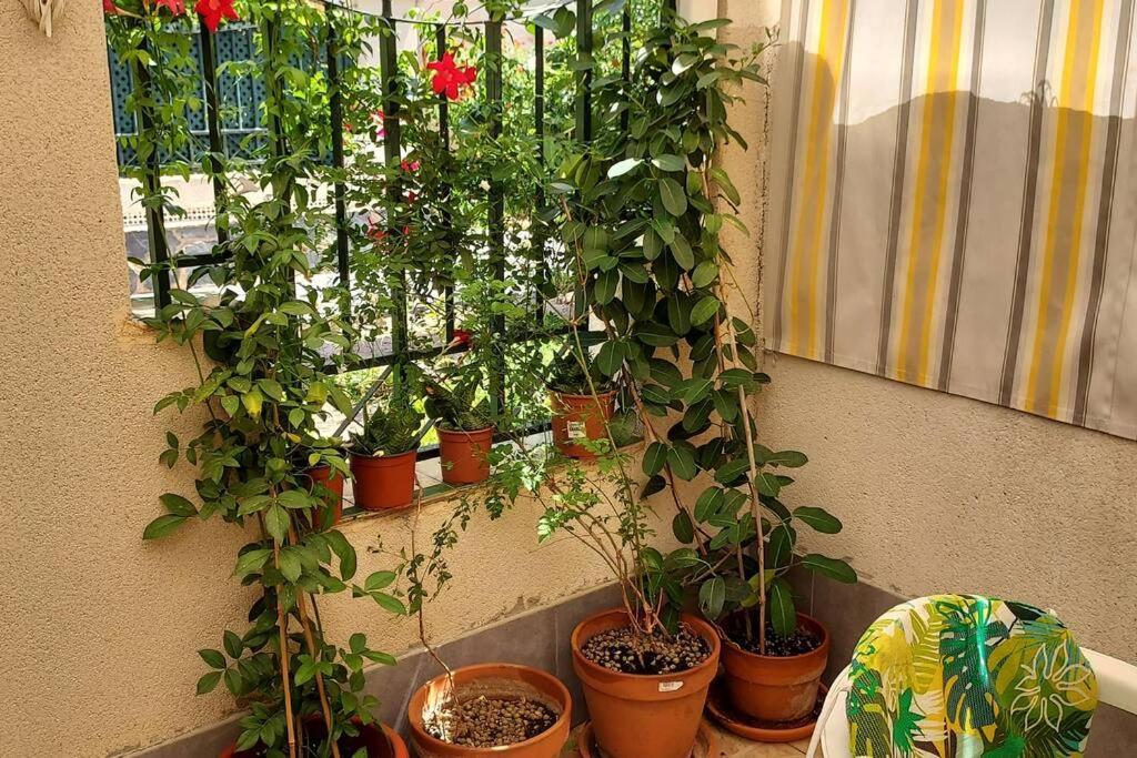 Bungalow Manuela En סנטה פולה מראה חיצוני תמונה